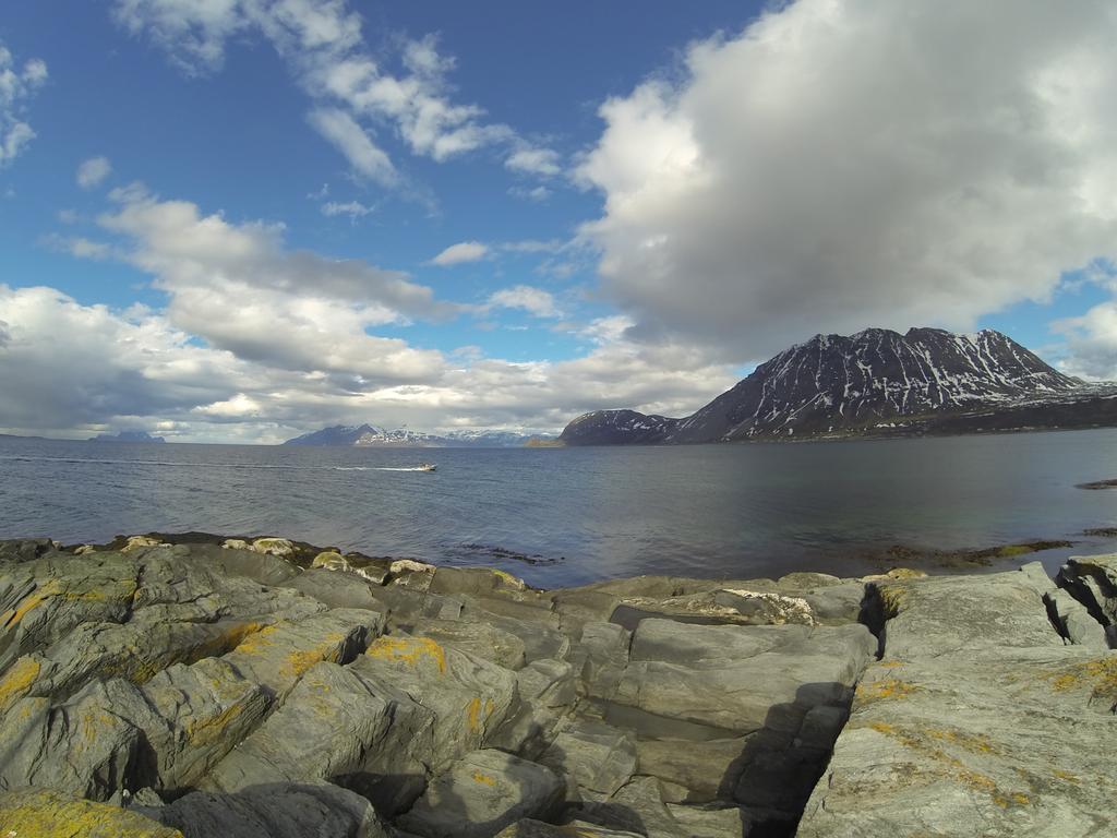 فيلا Lyngen Fjordcamp Nord-Lenangen المظهر الخارجي الصورة