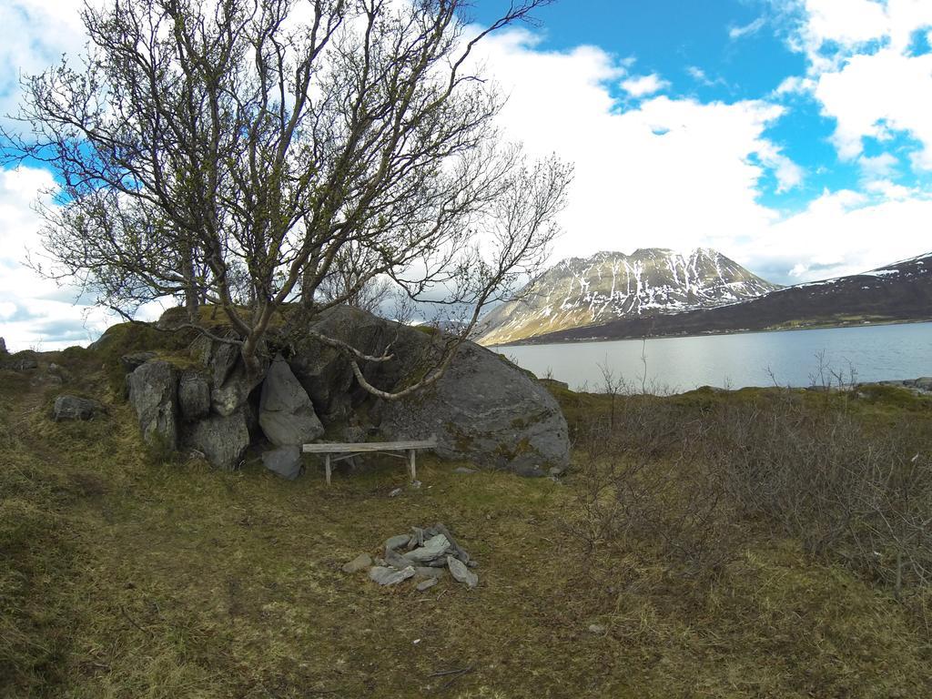 فيلا Lyngen Fjordcamp Nord-Lenangen المظهر الخارجي الصورة
