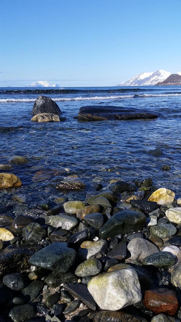 فيلا Lyngen Fjordcamp Nord-Lenangen المظهر الخارجي الصورة